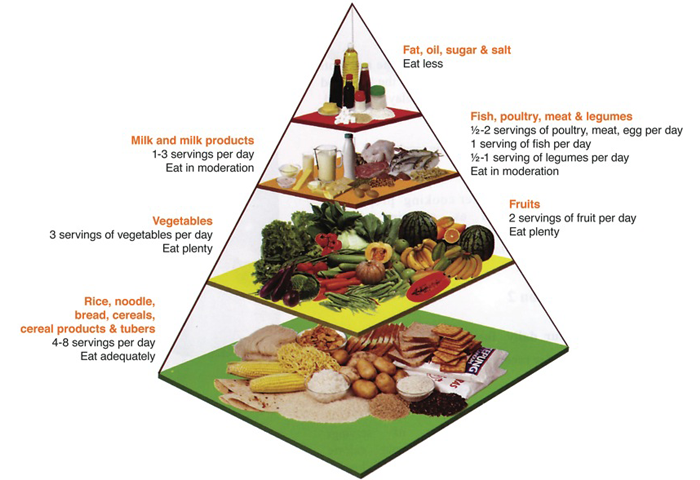 The Malaysian Food Pyramid
