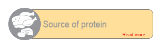 B-protein