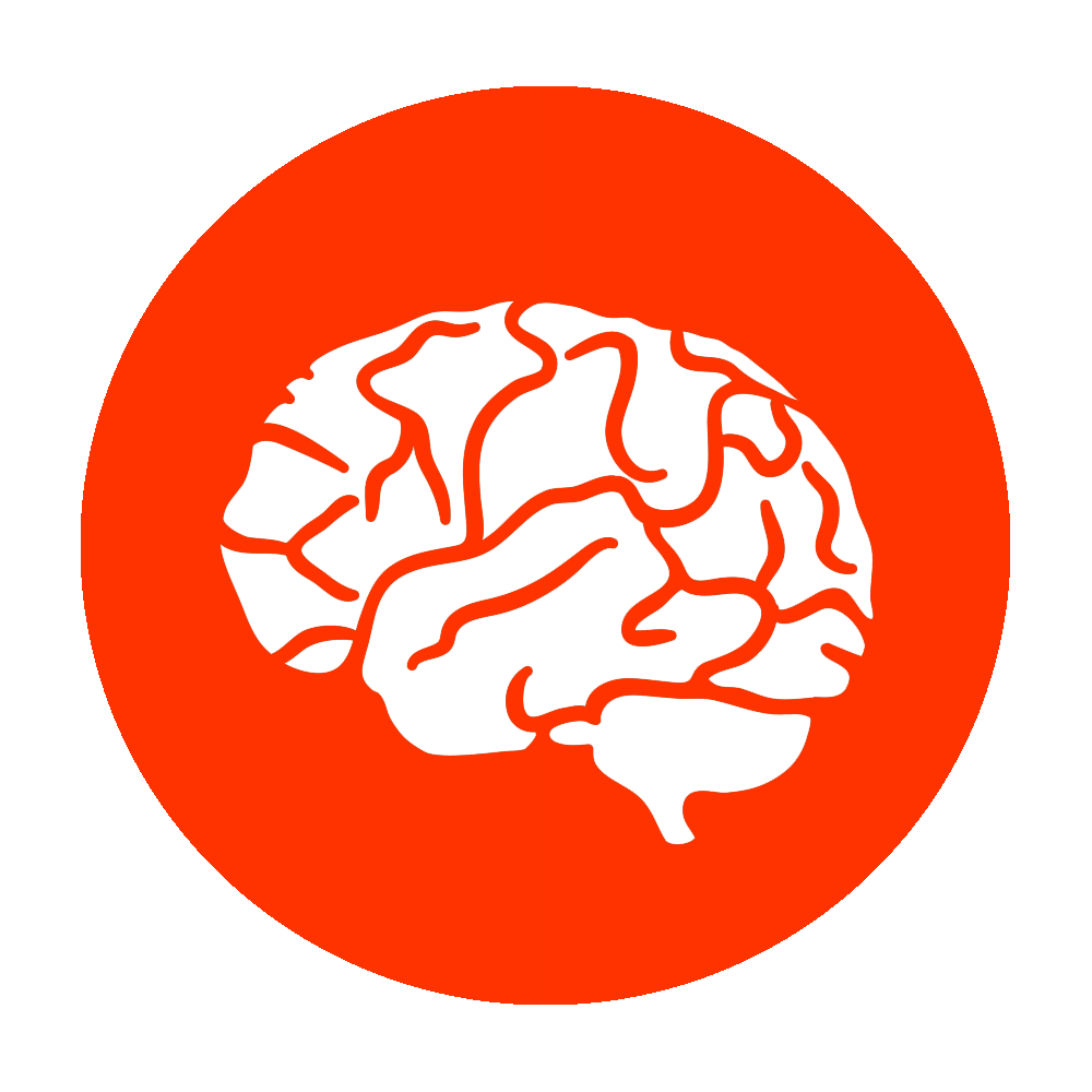 Brains Icon